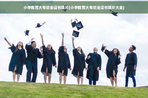小学教育大专毕业证书图片(小学教育大专毕业证书图片大全)