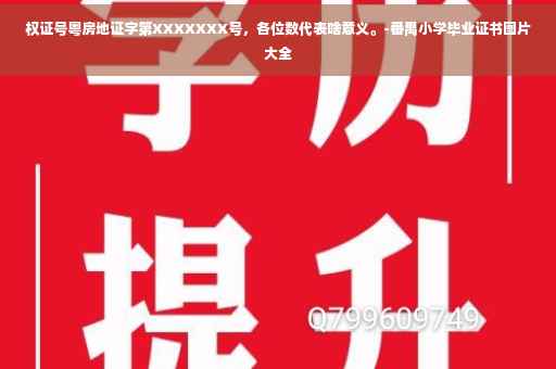 权证号粤房地证字第XXXXXXX号，各位数代表啥意义。-番禺小学毕业证书图片大全
