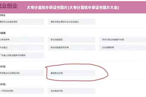 大专计算机中级证书图片(大专计算机中级证书图片大全)