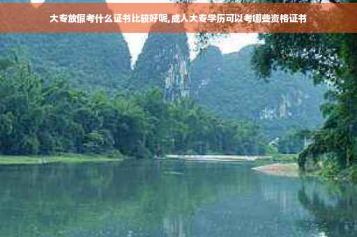 大专放假考什么证书比较好呢,成人大专学历可以考哪些资格证书