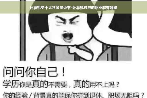 计算机类十大含金量证书-计算机对应的职业群有哪些