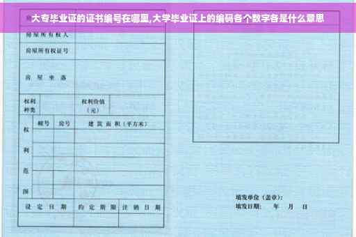 大专毕业证的证书编号在哪里,大学毕业证上的编码各个数字各是什么意思