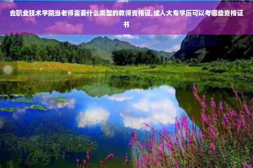 去职业技术学院当老师需要什么类型的教师资格证,成人大专学历可以考哪些资格证书