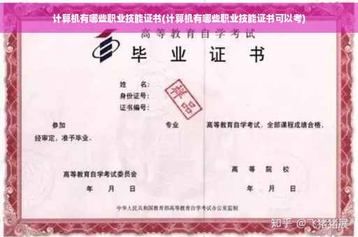 计算机有哪些职业技能证书(计算机有哪些职业技能证书可以考)