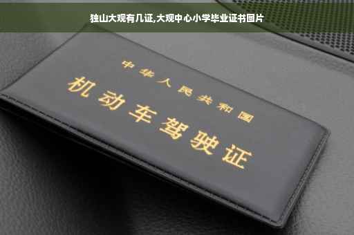 独山大观有几证,大观中心小学毕业证书图片