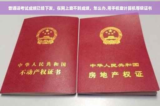 普通话考试成绩已经下发，在网上查不到成绩，怎么办,用手机查计算机等级证书