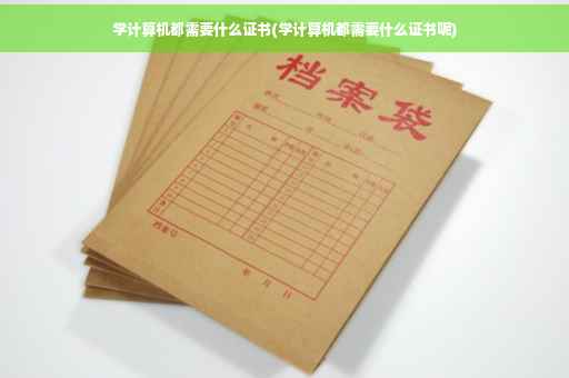 学计算机都需要什么证书(学计算机都需要什么证书呢)