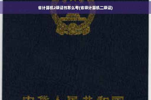 省计算机2级证书怎么考(省级计算机二级证)