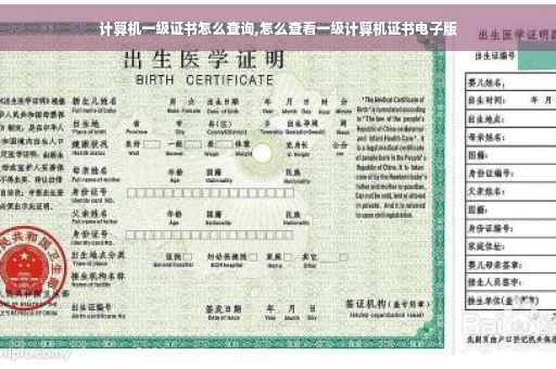 计算机一级证书怎么查询,怎么查看一级计算机证书电子版
