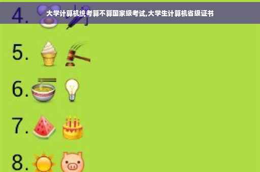 大学计算机统考算不算国家级考试,大学生计算机省级证书