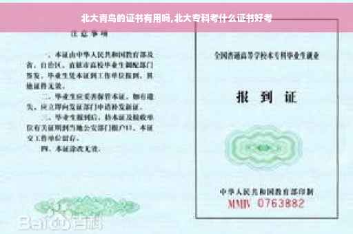 北大青鸟的证书有用吗,北大专科考什么证书好考
