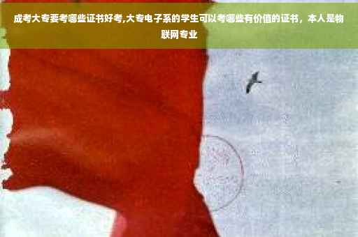 成考大专要考哪些证书好考,大专电子系的学生可以考哪些有价值的证书，本人是物联网专业