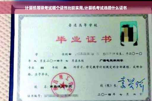 计算机等级考试哪个证书比较实用,计算机考试选择什么证书