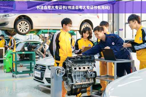 书法自考大专证书(书法自考大专证书有用吗)