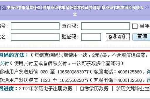 学历证书编号是什么?是毕业证书编号还是学位证书编号-毕业证书四字图片模板大全