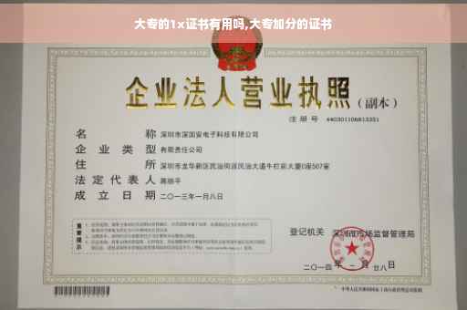 大专的1x证书有用吗,大专加分的证书