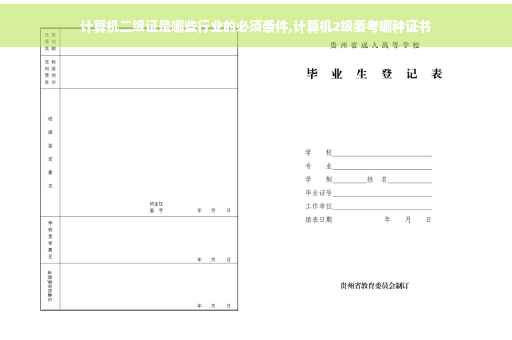 计算机二级证是哪些行业的必须条件,计算机2级要考哪种证书
