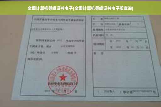 全国计算机等级证书电子(全国计算机等级证书电子版查询)