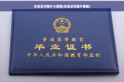 毕业证书图片小清新(毕业证书图片模板)