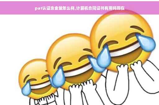 pat认证含金量怎么样,计算机合同证书有用吗现在