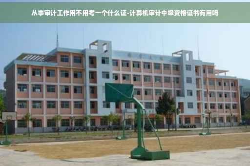 从事审计工作用不用考一个什么证-计算机审计中级资格证书有用吗
