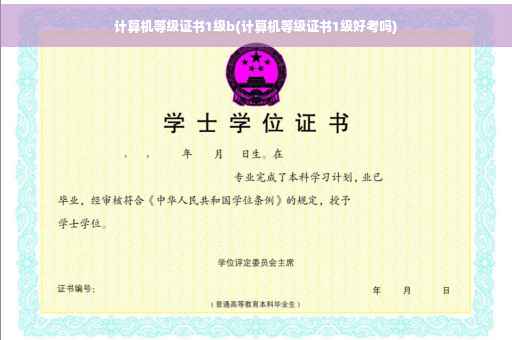 计算机等级证书1级b(计算机等级证书1级好考吗)