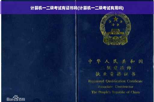 计算机一二级考试有证书吗(计算机一二级考试有用吗)