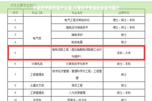 中职药学发的是什么证,大专药学专业毕业证书图片