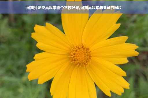 河南师范类高起本哪个学校好考,河南高起本毕业证书图片