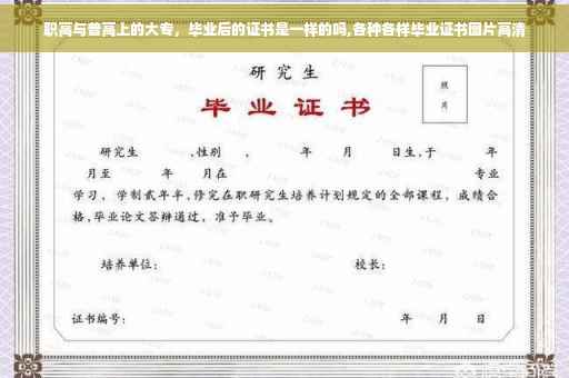 职高与普高上的大专，毕业后的证书是一样的吗,各种各样毕业证书图片高清