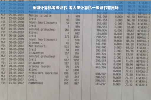 全国计算机考级证书-考大学计算机一级证书有用吗