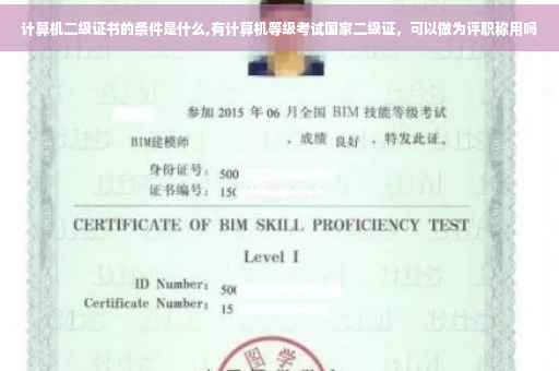 计算机二级证书的条件是什么,有计算机等级考试国家二级证，可以做为评职称用吗
