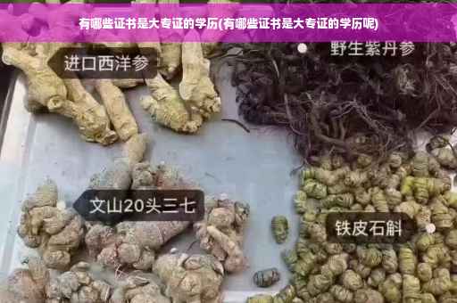 有哪些证书是大专证的学历(有哪些证书是大专证的学历呢)