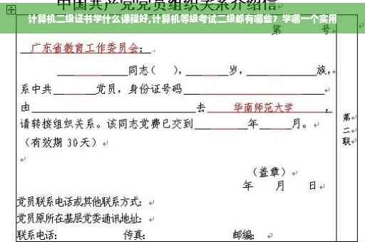 计算机二级证书学什么课程好,计算机等级考试二级都有哪些？学哪一个实用