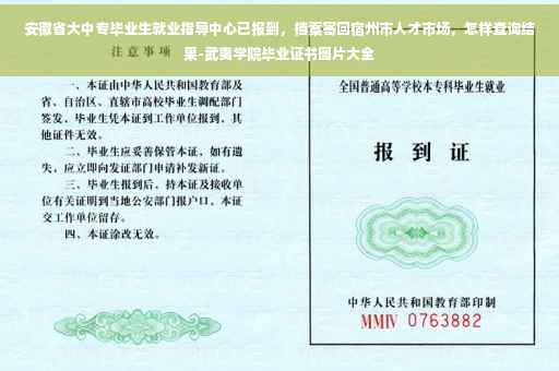 安徽省大中专毕业生就业指导中心已报到，档案寄回宿州市人才市场，怎样查询结果-武夷学院毕业证书图片大全