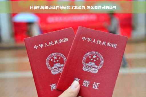 计算机等级证证件号码忘了怎么办,怎么查自已的证书
