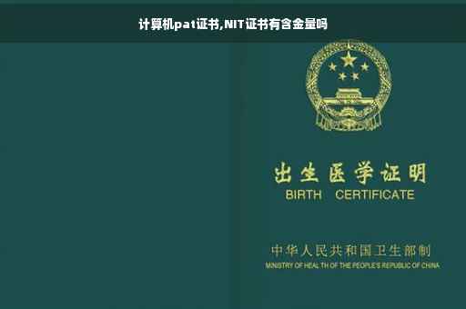 计算机pat证书,NIT证书有含金量吗