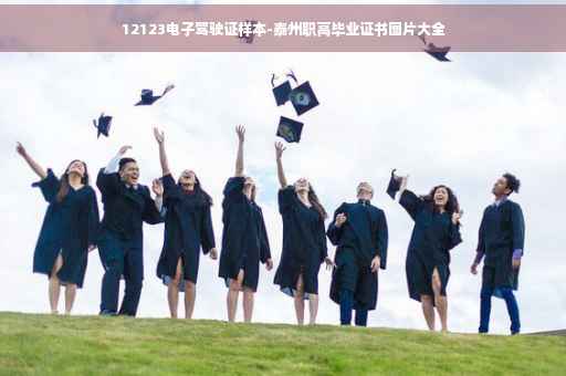 12123电子驾驶证样本-泰州职高毕业证书图片大全