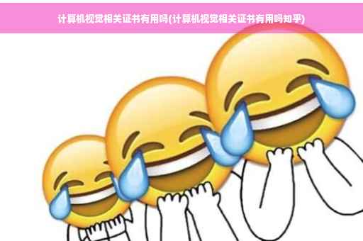 计算机视觉相关证书有用吗(计算机视觉相关证书有用吗知乎)