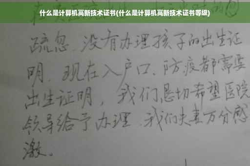 什么是计算机高新技术证书(什么是计算机高新技术证书等级)