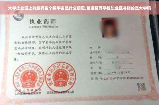 大学毕业证上的编码各个数字各是什么意思,普通高等学校毕业证书指的是大学吗