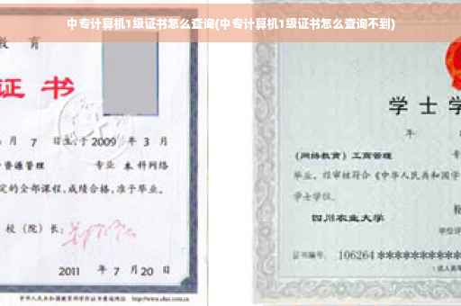 中专计算机1级证书怎么查询(中专计算机1级证书怎么查询不到)