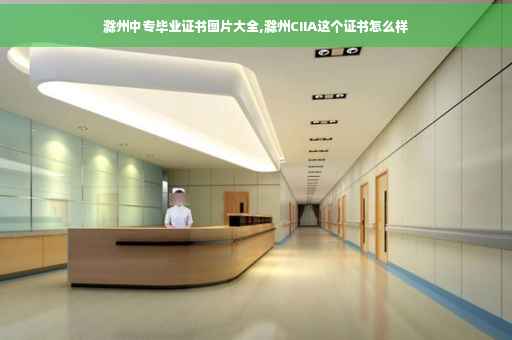 滁州中专毕业证书图片大全,滁州CIIA这个证书怎么样