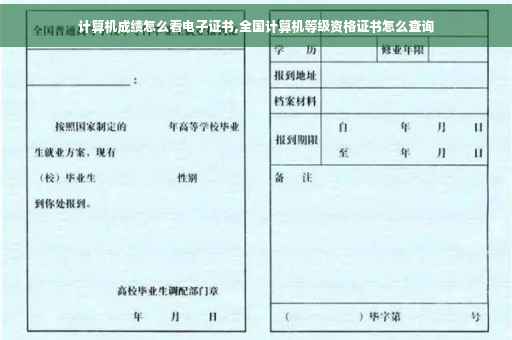 计算机成绩怎么看电子证书,全国计算机等级资格证书怎么查询