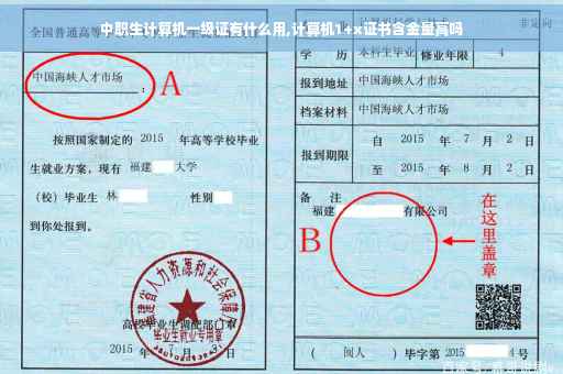 中职生计算机一级证有什么用,计算机1+x证书含金量高吗