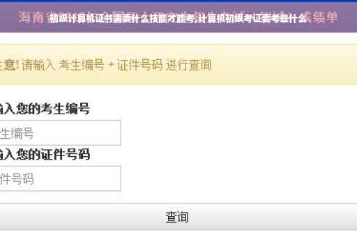 初级计算机证书需要什么技能才能考,计算机初级考证要考些什么