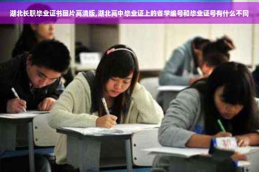湖北长职毕业证书图片高清版,湖北高中毕业证上的省学编号和毕业证号有什么不同