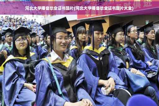 河北大学播音毕业证书图片(河北大学播音毕业证书图片大全)
