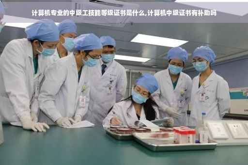 计算机专业的中级工技能等级证书是什么,计算机中级证书有补助吗