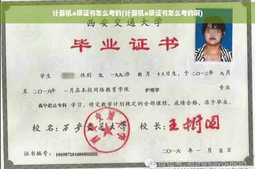 计算机a级证书怎么考的(计算机a级证书怎么考的啊)
